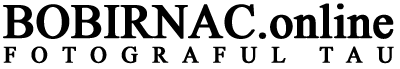 Logo-Bobirnac.online Logo-Bobirnac.online